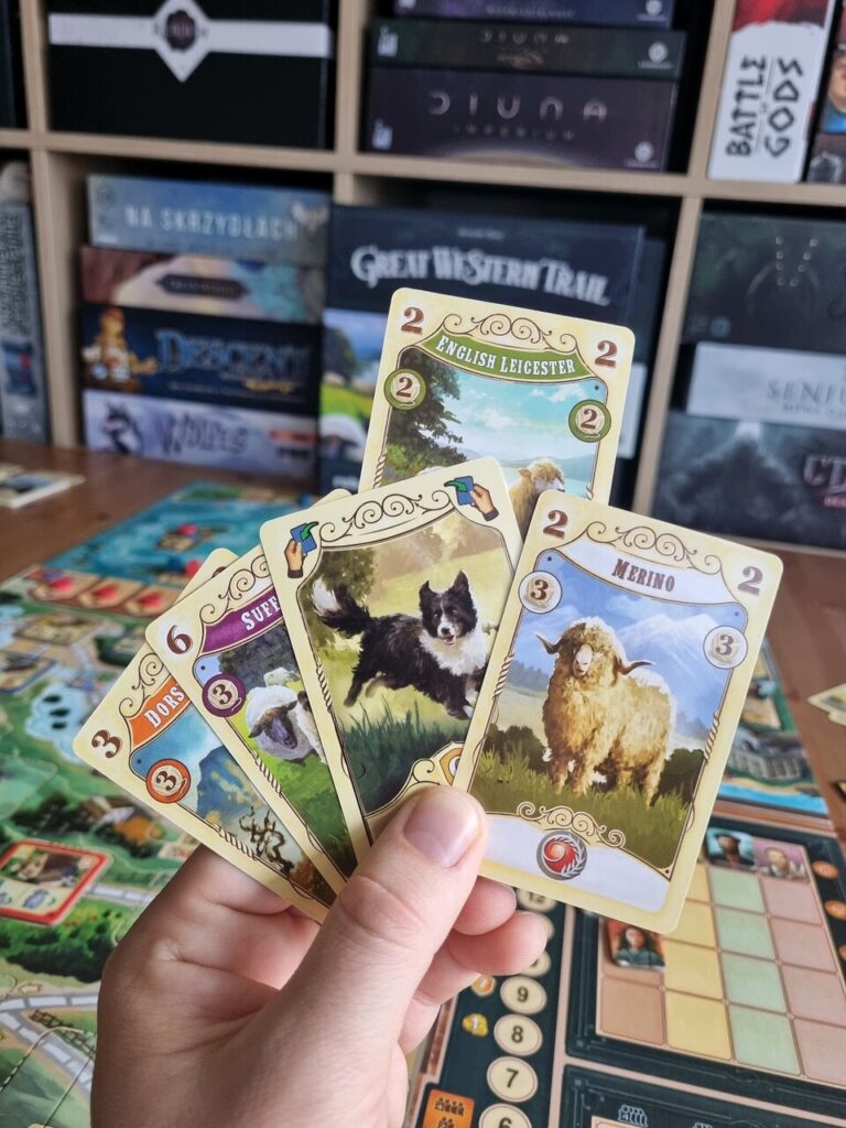 Great Western Trail New Zealand